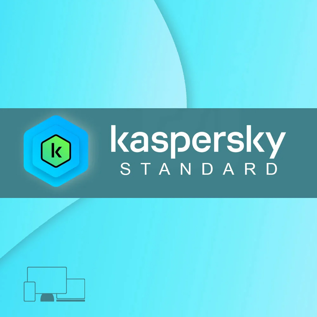 Kaspersky Standard SwissSoftware24